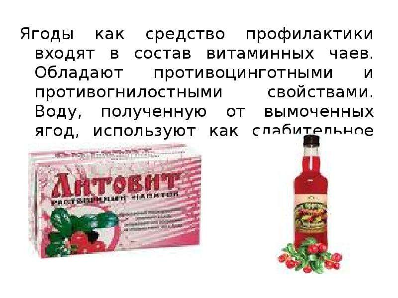 Средство ягоды. Противоцинготный препарат препараты. Чай витаминный состав. Максимодин средство профилактическое средство. Противоцинготное средства на Руси.