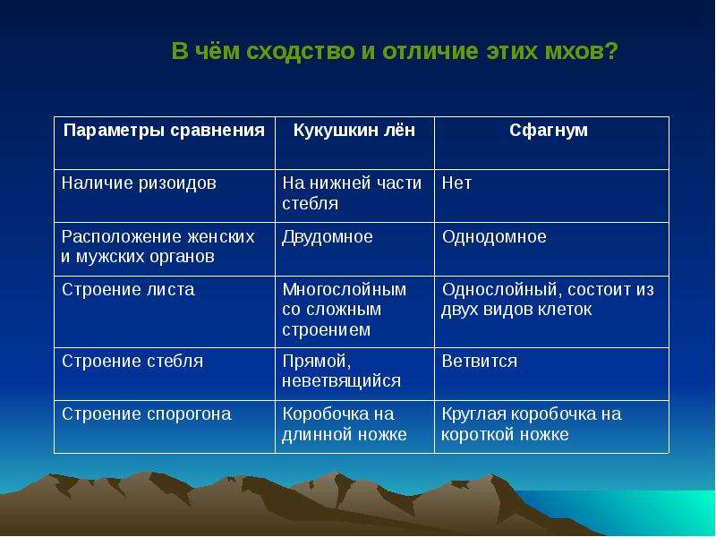 Особенность отличающая папоротники от мхов. Сходства и различия мхов и водорослей. Папоротники и мхи сходства и различия. Сходства и различия мхов и папоротников таблица. Таблица сравнения мохлв и папоротник.