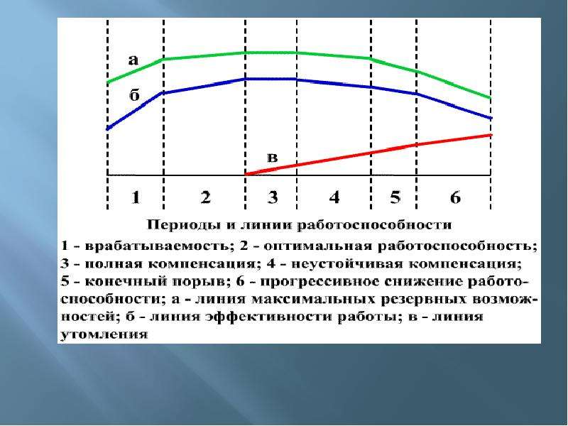 Линия периодов. Периоды работоспособности. Период оптимальной работоспособности. Периоды работоспособности человека. Период прогрессивного снижения работоспособности.