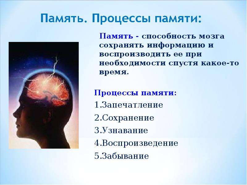 Какие люди остаются в памяти человека. Память это способность. Способности памяти человека. Возможности памяти человека. Способности мозга.