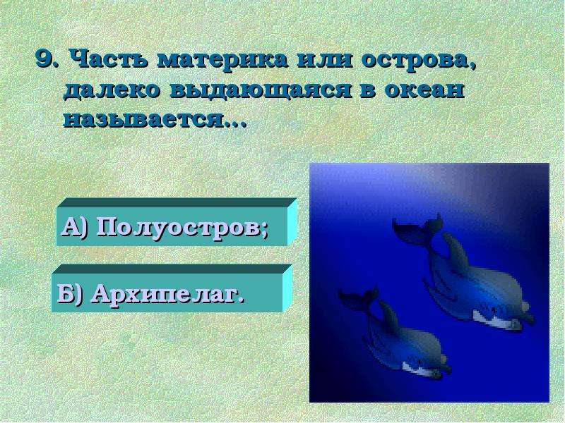 Участки суши окруженные водой называются. Жизнь в мировом океане план презентации. Птицы океанов презентация 7 класс. Какое утверждение о мировом океане верно.