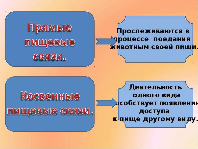 Взаимосвязь компонентов биоценоза презентация 7 класс