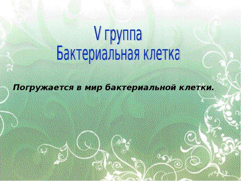 Презентация удивительный мир бактерий