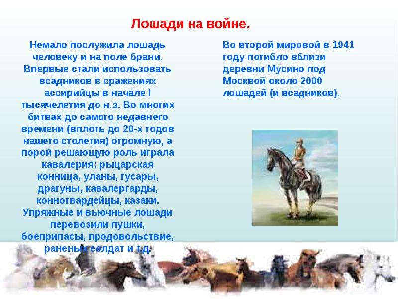 Лошади сообщение 3 класс окружающий. Лошадь для презентации. Сообщение о лошади. Интересные факты о лошадях для детей. Презентация на тему коневодство.