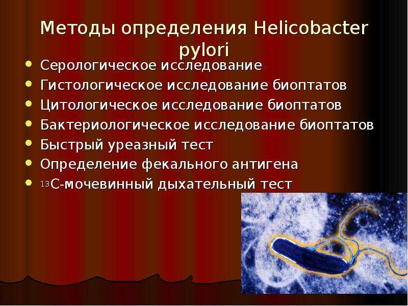 Хеликобактер пилори показатели. Оценка Helicobacter pylori. Исследование на Helicobacter pylori. Тест на Helicobacter pylori биоптат. Бактериологическое исследования хеликобактер.
