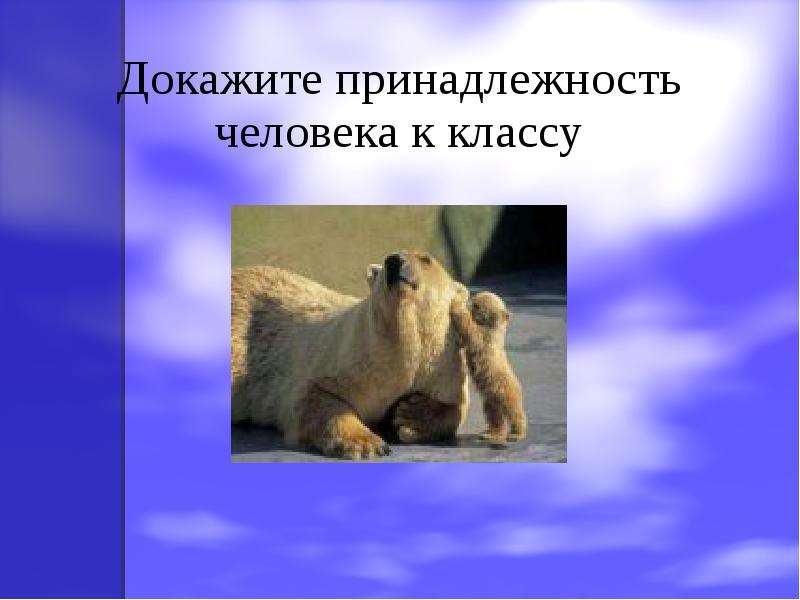 Подтвердил принадлежность. Доказательства принадлежности человека к классу. Доказательства принадлежности человека к парвоотряду.