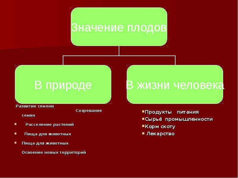 Что значит плоды. Разнообразие и значение плодов. Значение плода в природе. Значение плодов в жизни человека. Значение для человеком плодов и семян.