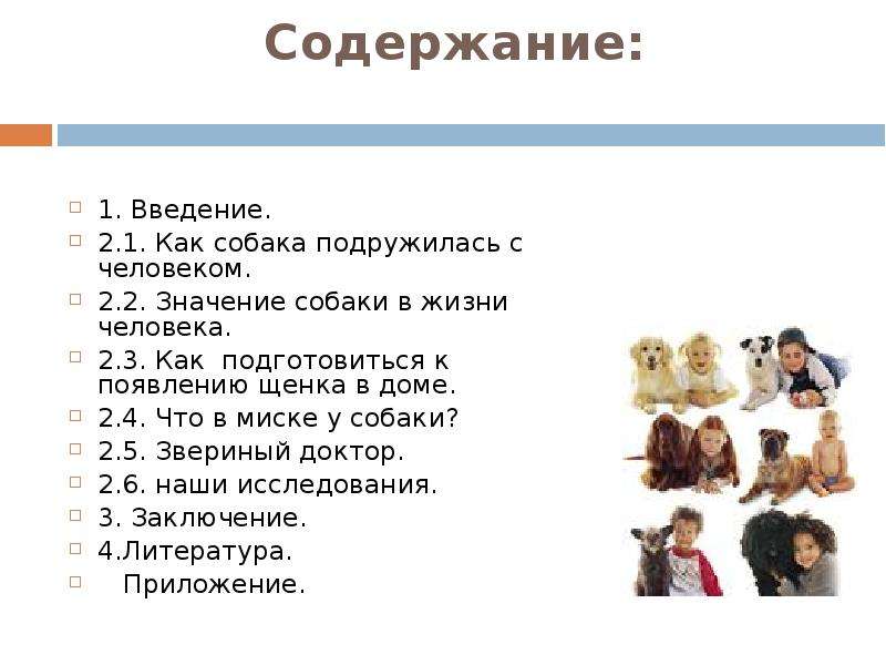 Значение собаки. Значение собаки в жизни человека. Появление собаки в жизни человека. Роль и значимость собаки в жизни человека.