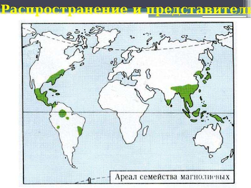 Карта магнолии бесплатно