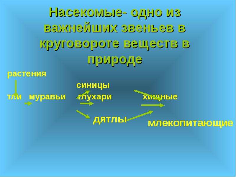 Схема круговорота веществ в природе в которой участвует некрупная птица воробей синица ворона