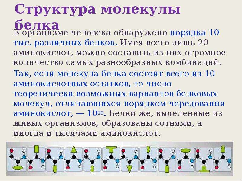 В состав молекул белков входят. Строение молекулы белка. Структура молекулы белка. Состав молекулы белка человека. Состав белка в организме человека.