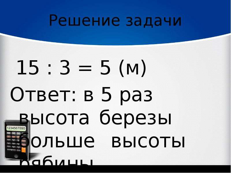 15 м 3. Высота березы. Высота берёзы 15 м а рябины 3. Высота берёзы 15 м. Высота березы 15м а рябины 3 м.