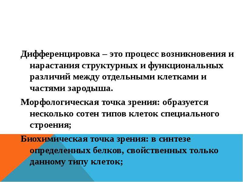 Морфологической точки зрения. Дифференцировка клеток это в биологии. Процесс дифференцировки клеток. Дифференциация клеток. Дифференциация клеток и тканей это.