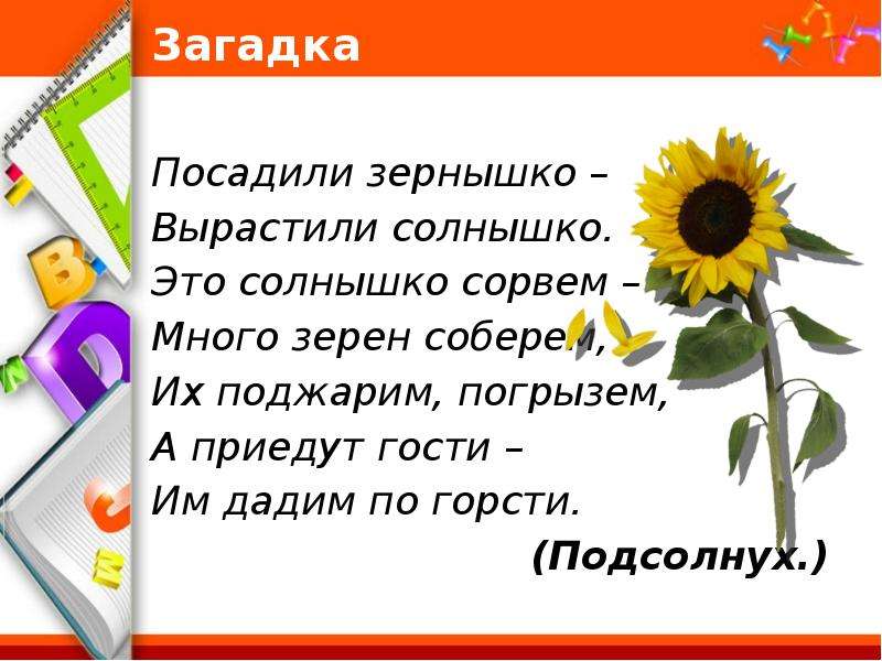 Утро загадка. Посадили зернышко вырастили солнышко. Загадка посадили зёрнышко вырастили солнышко. Загадка посадили зернышко, выросло солнышко. Загадки посади зернышко.