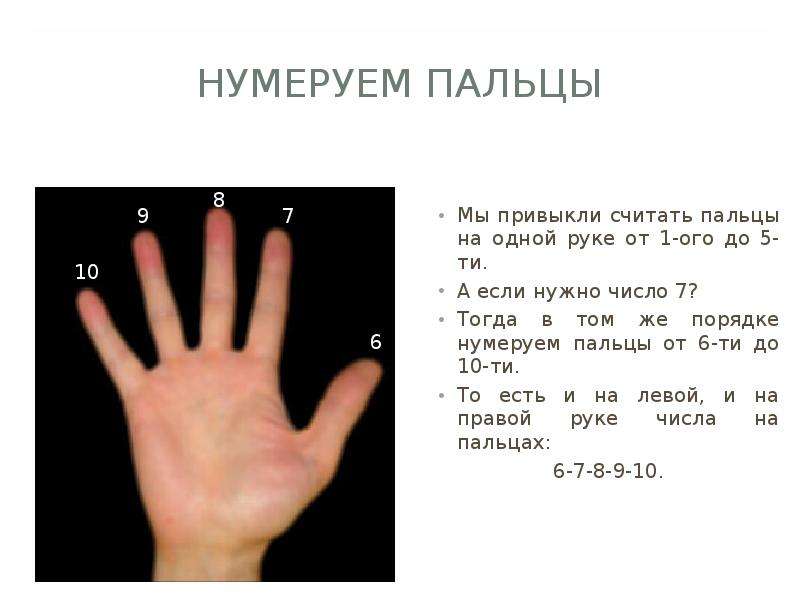 Сколько там пальцев. Считает на пальцах. Числа на пальцах. Как считать пальцы на руках. Счет на руках.