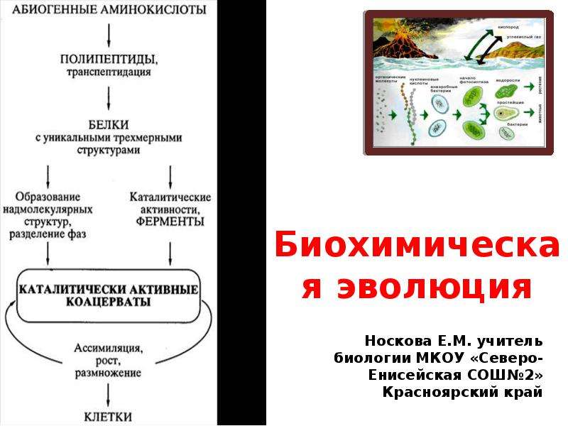 Схема биохимической эволюции