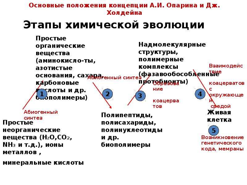 Основные этапы химической эволюции схема