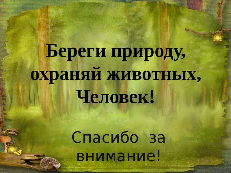 Спасибо за внимание берегите природу картинки для презентации