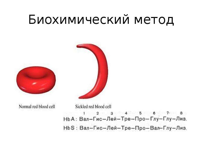 Биохимический метод генетики презентация