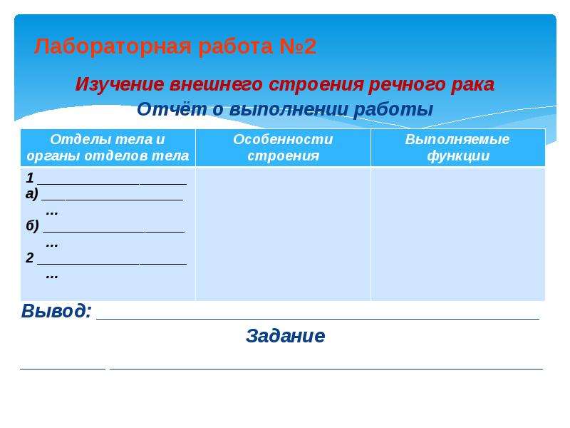 Лабораторная работа изучение внешнего строения. Изучение внешнего строения. Лабораторная работа особенности внешнего строения речного. Лабораторная работа внешнее строение особенности.