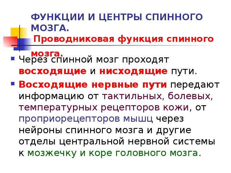 Центры спинного мозга. Функции и центры спинного мозга. Функции спинного мозга. Проводниковая функция спинного мозга. Основные центры спинного мозга кратко.