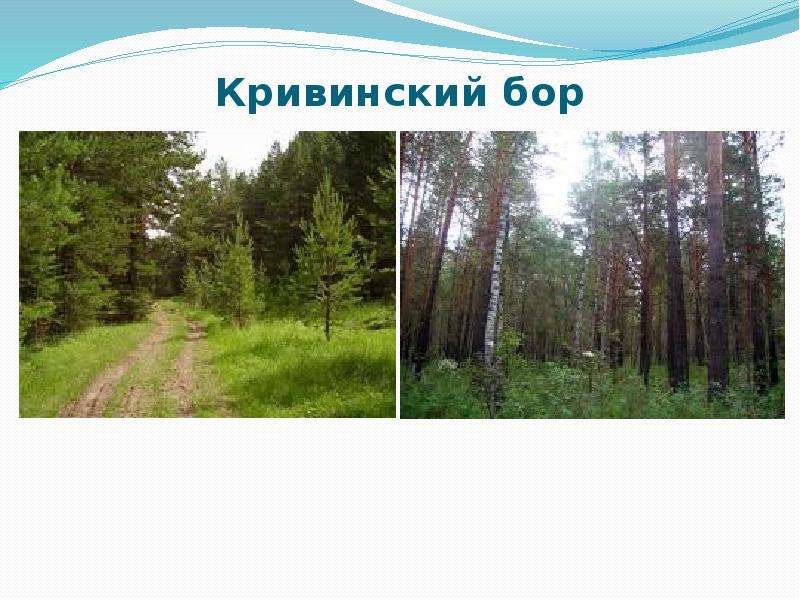 Памятники природы красноярского края