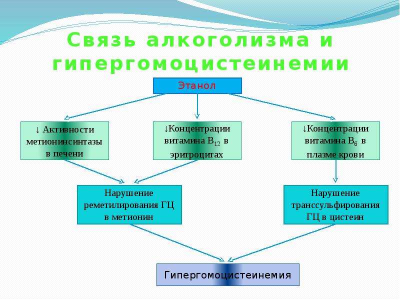 Высокий гомоцистеин. Гипергомоцистеинемия. Патогенез гипергомоцистеинемии. Факторы, способствующие развитию гипергомоцистеинемии.. Причины повышения гомоцистеина.