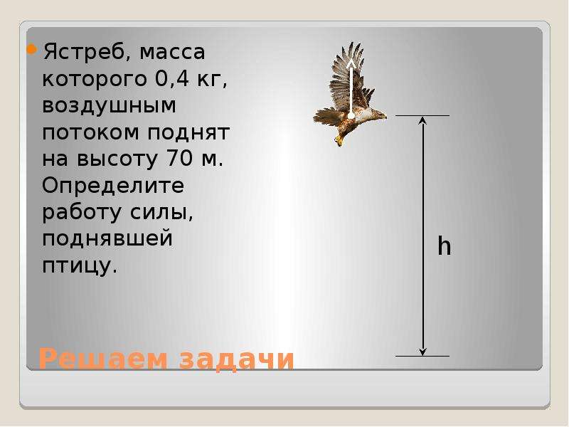 Весы птица. Ястреб масса которого. Ястреб масса которого 0.4 кг воздушным потоком поднят на высоту 70 м. Ястреб масса которого 0.4 кг воздушным. Ястреб масса которого 0,4 воздушным потоком.