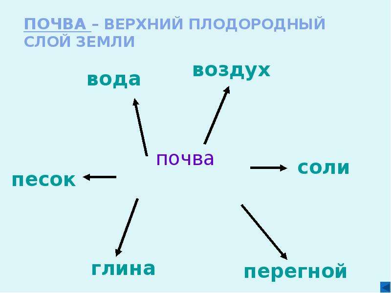 Как называется плодородный. Состав верхнего плодородного слоя почвы. Разнообразие почвы 4 класс презентация. Что такое почва.школа России презентация 3 класс. Плодородный слой земли окружающий мир 4 класс.