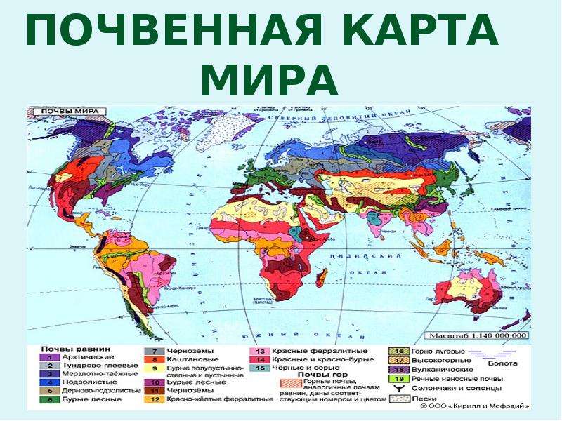 Почвенная карта земли