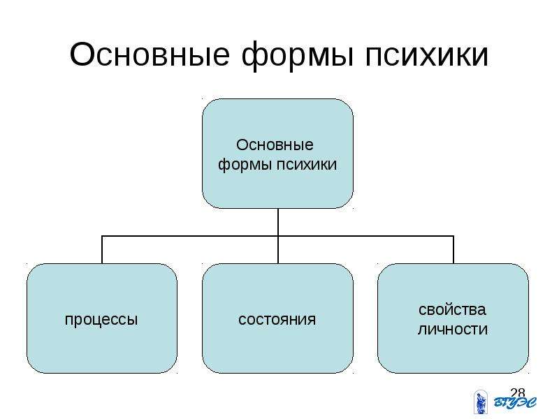 Виды психики. Основные формы психики. Низшие формы психики. Элементарные формы психики. Основные формы психической реальности.