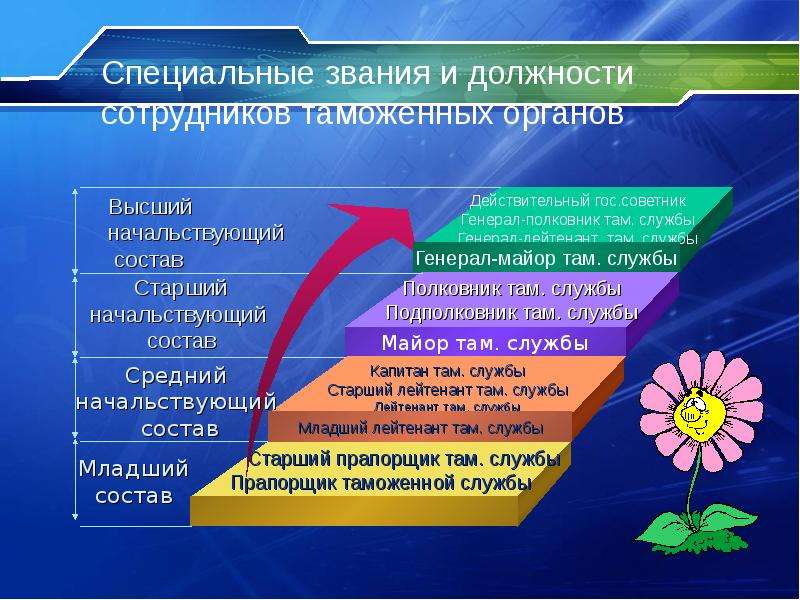 Звание в таможенных органах в картинках и описание