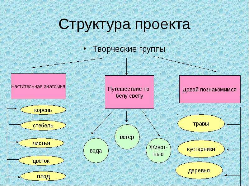 Структура проекта в начальной школе