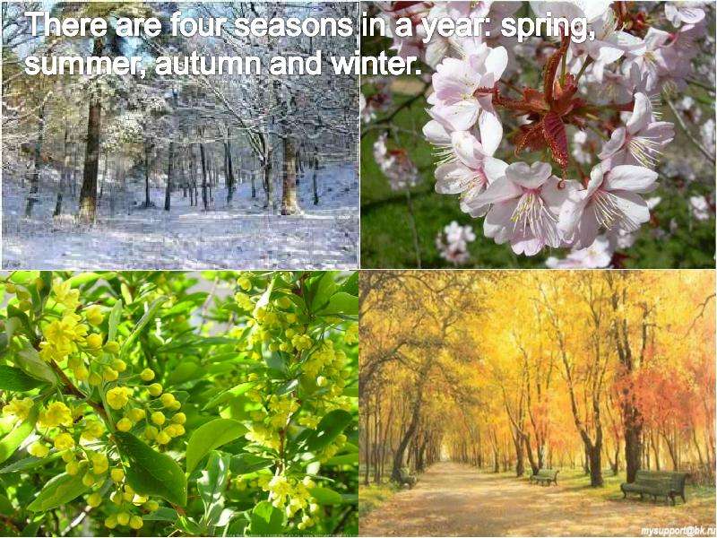 There are four seasons. There are four Seasons in a year Spring Summer autumn and Winter. My favourite Seasons 6 класс.