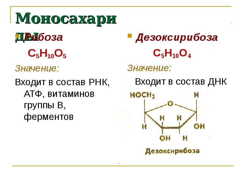 Строение углеводов