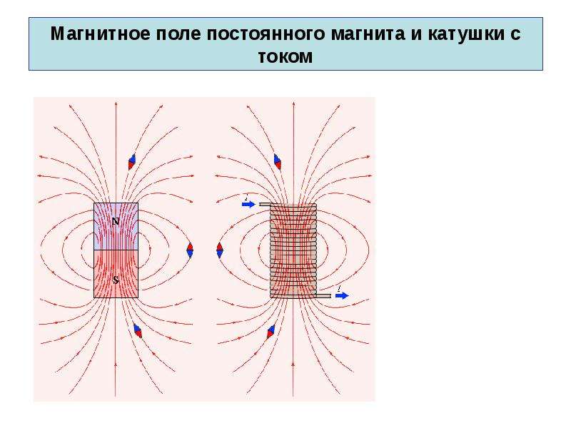 Как магнитная стрелка ориентируется в магнитном поле. Линии индукции магнитного поля постоянного магнита. Линии магнитной индукции полей постоянного магнита и катушки с током. Линии магнитного поля постоянного магнита магнитные ст. Линии магнитной индукции поля создаваемого постоянным магнитом.