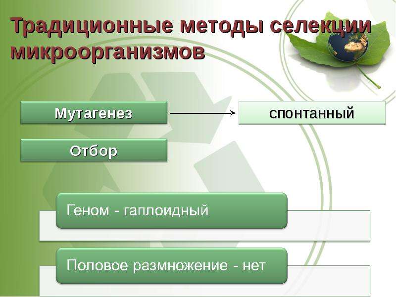 Основные методы селекции и биотехнологии презентация 11 класс