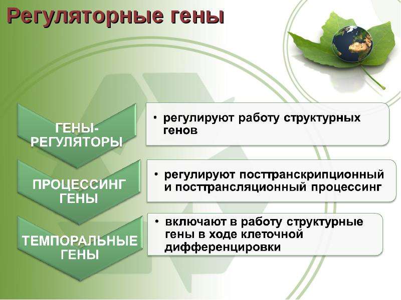 Современные методы селекции проект