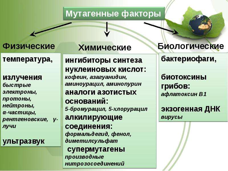 Мутагенные факторы. Факторы мутагенеза. Мутагенные факторы среды. Мутагенная активность факторов среды таблица. Биологические мутагенные факторы.