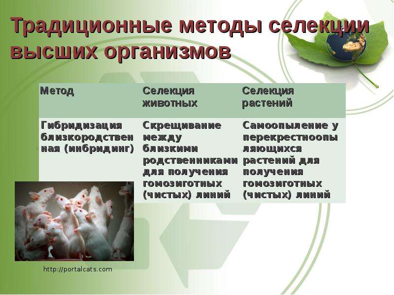 Современные методы селекции растений презентация