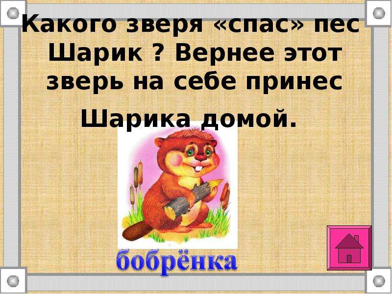 Шарик верно