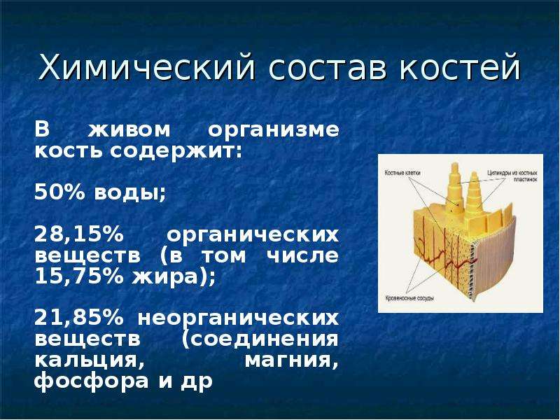 Строение костей химический состав. Химический состав костей. Строение костей презентация. Химический состав костей человека. Хим состав кости.