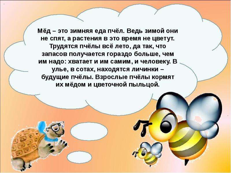 Откуда пчелы. Откуда берется мед для детей. Презентация про мед 1 класс. Сообщение о пчелах. Доклад про мед для детей.