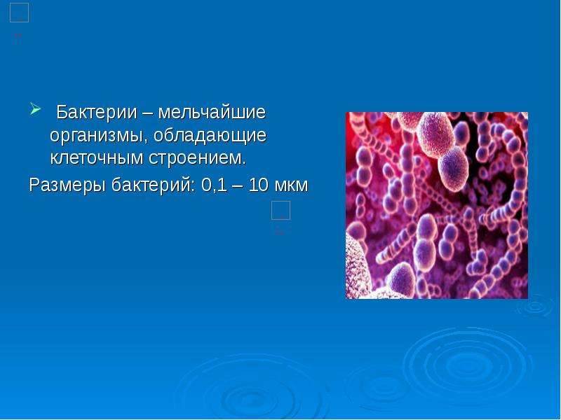 Организмы обладающие. Размеры бактерий. Размеры микроорганизмов. Размеры микроорганизмов - микрон. Размер микроба.