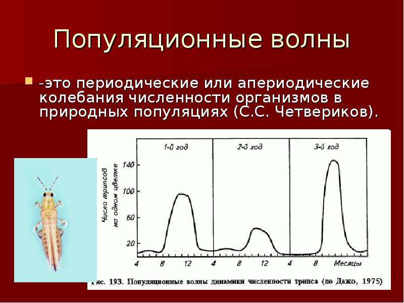 Популяционные волны. Популяционные волны периодические и непериодические. Волны жизни популяционные волны. Периодические колебания численности.