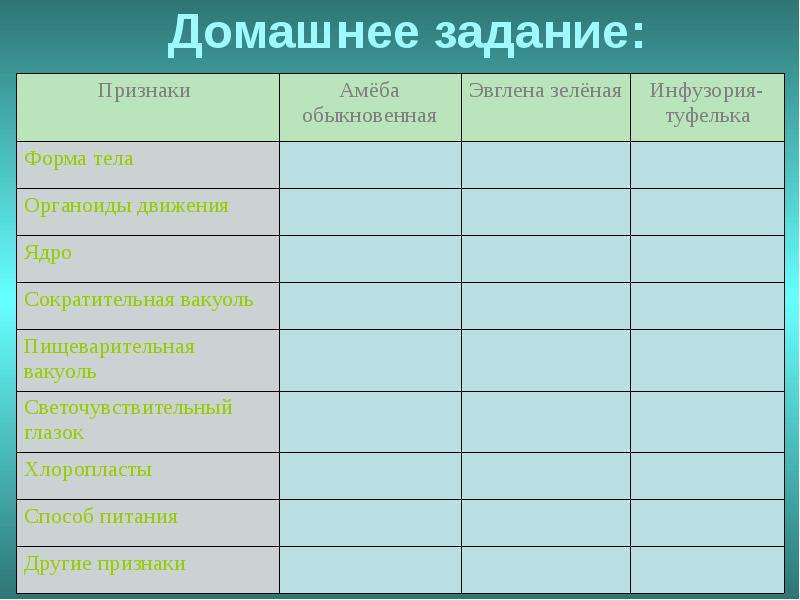 Докажите что план строения тела одноклеточных соответствует общим чертам организации ядерных