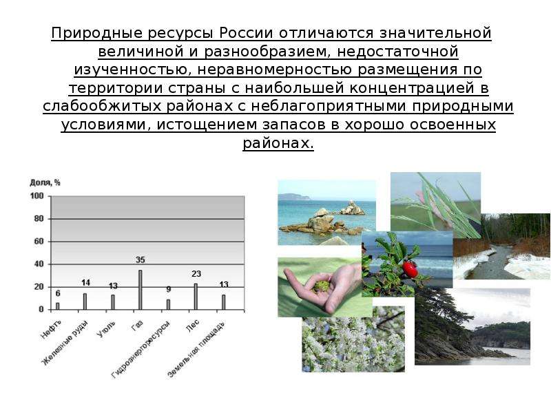 Разнообразные природные ресурсы это. Природные ресурсы России. Природные ресурсы Росси. Запасы природных богатств в России. Разнообразие природных ресурсов России.