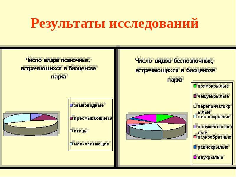 Исследовали результаты. Результаты исследования. Презентация результатов исследования. Анализ результатов исследования. Слайд Результаты исследования.