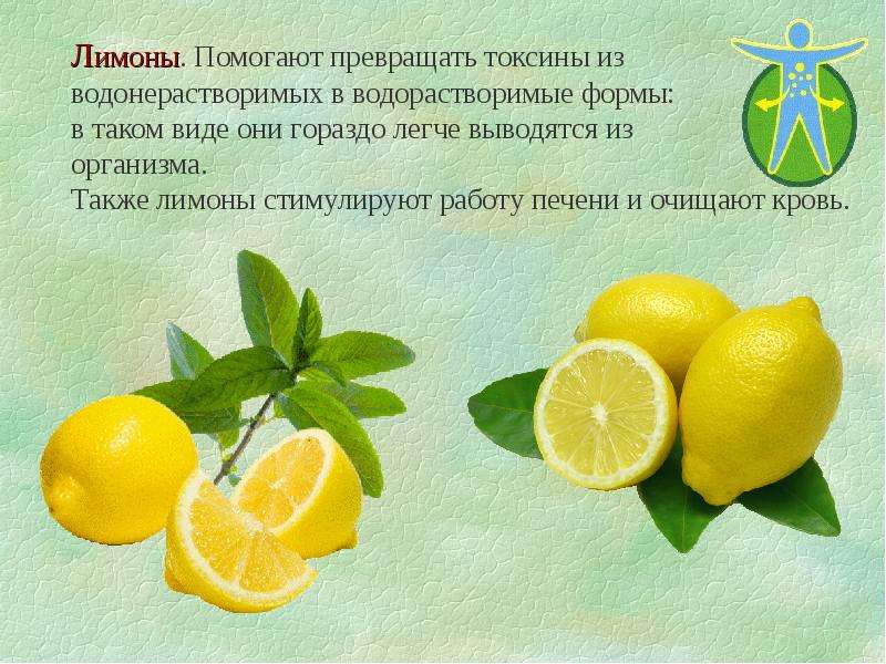 Лимонный сок и печень. Лимон для очищения организма. Для чего помогает лимон. Вода с лимоном для печени. Лимон при заболевании печени.
