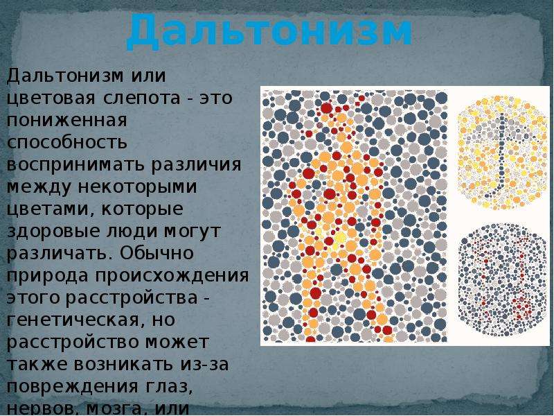 Дальтонизм презентация по генетике